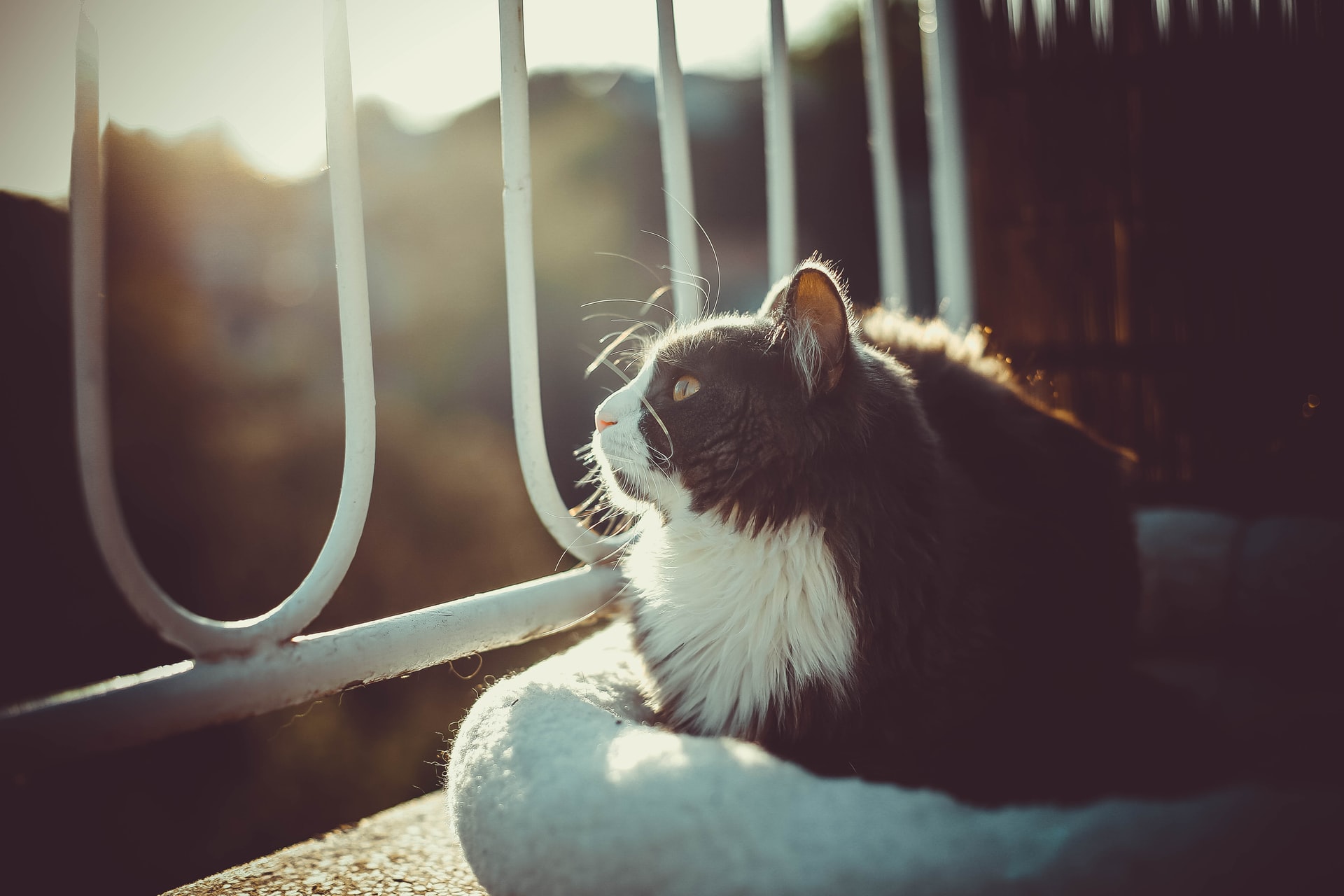 https://unsplash.com/photos/oiKPCBzbh7M