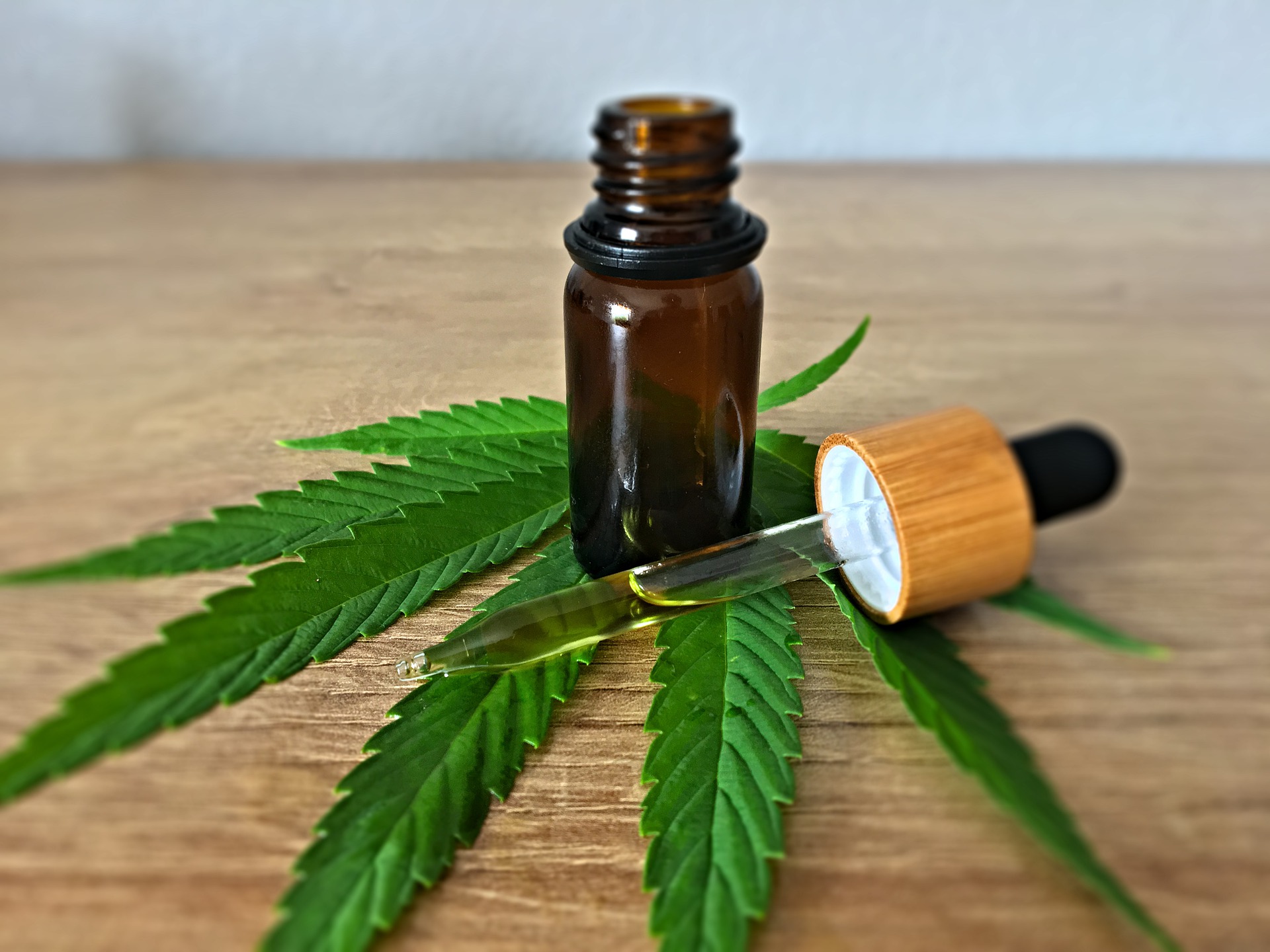Top CBD Products for Pet Care