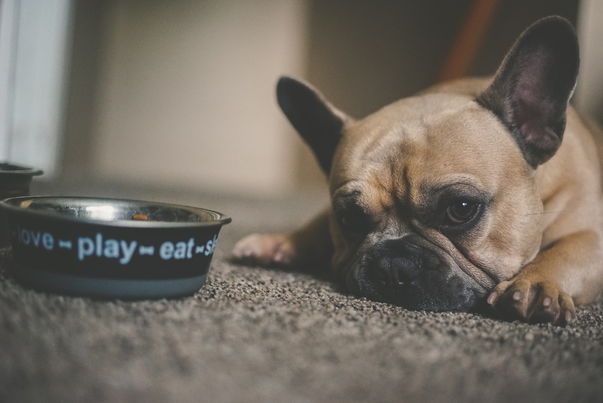 https://unsplash.com/photos/b5YQQbMSWhQ?utm_source=unsplash&utm_medium=referral&utm_content=creditShareLink